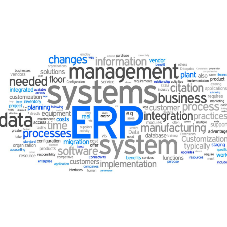 ERP Systems in Zimbabwe