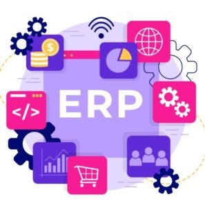 ERP vs Accounting Software in Zimbabwe
